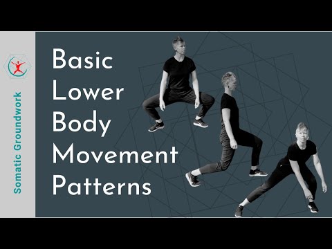 Basic Lower Body Movement Patterns