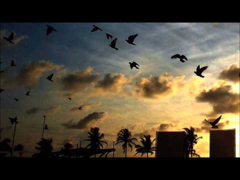 Sean Tyas - Lift (Original Mix)