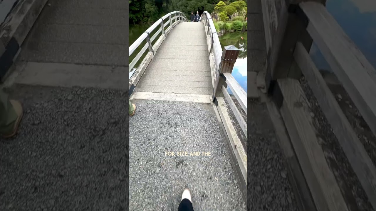 YouTube Short thumbnail