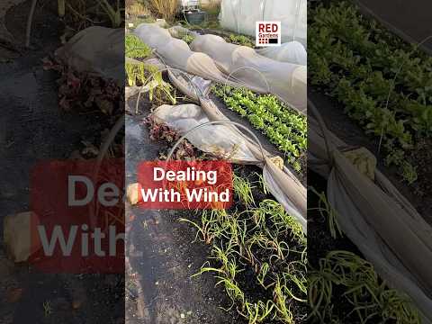 Winter Wind Permaculture: Crop Covers & Soil Resilience