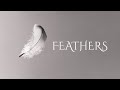 Feathers - Adaptation Of Pachabel's Canon, Music By Michael Allen Harrison Vocalist- Katie Harman