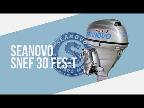 Миниатюра изображения товара Мотор лодочный Seanovo SNEF30FEL-TEFI