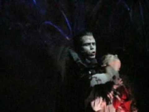 Die Unstillbare Gier - Verschiedene Krolocks / Interpreten (Tanz der Vampire)