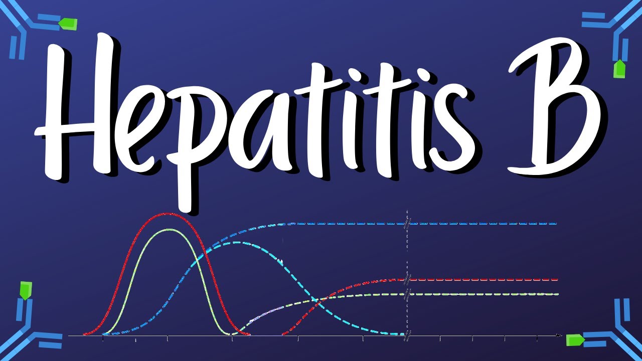 Serología Hepatitis B Explicada Claramente