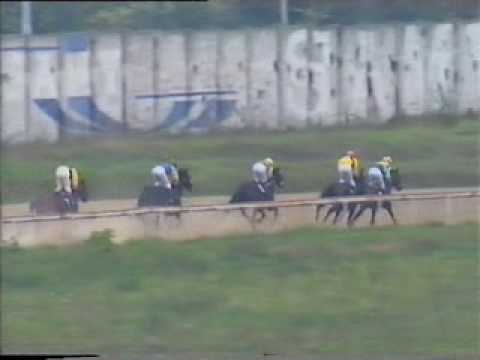 Billy Allen-2004.The City of Belgrade Prize