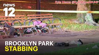 Sources reveal what may have led to Brooklyn park killing