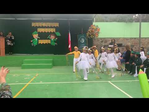 Giraluna girasol july