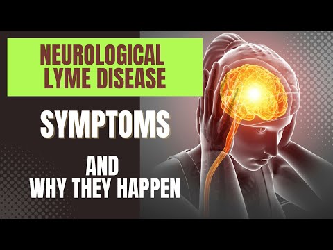Neurological Lyme Symptoms And Why They Happen