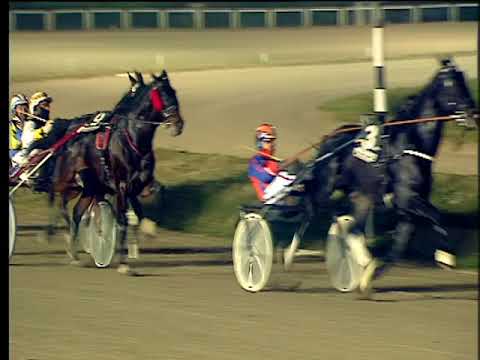 Trotto 31/12/2017 - 6ª corsa