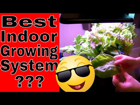 MUFGA Indoor Hydroponic Growing System Review And How To Use