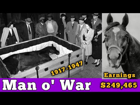 Man o’ War: The Greatest Racehorse in History | Horse Documentary #horseracing #horse #ManOWar