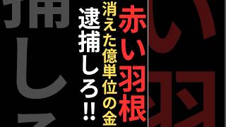 政治と赤い羽根の闇を約一分で解説