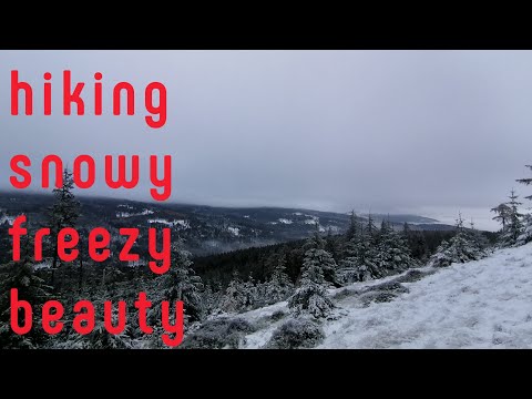 WINTER HIKE im Taunus