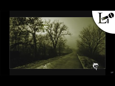 2009 | Lok-y feat. Robin Hook - Winterdepressionen
