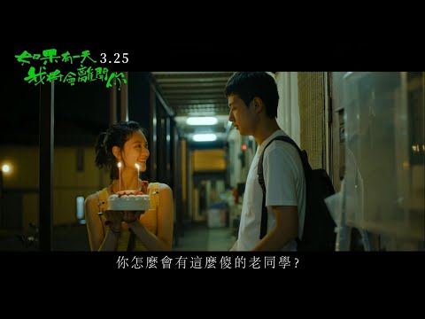 如果有一天我將會離開你電影海報