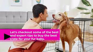 Tips & Tricks To Choose The Right Pet Crate For A Move