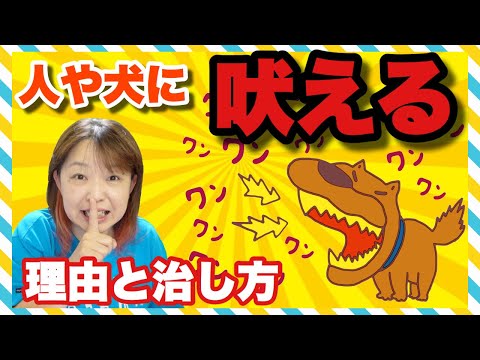 他の犬に対する犬の適応