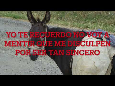 Soñando con María Casquito Karaoke