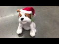 Boxer Puppy Dog Singing Dancing Holiday Music Parody U Can T Touch This It S Christmas