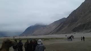 preview picture of video 'Nubra valley view| Ladakh|double hump camel'