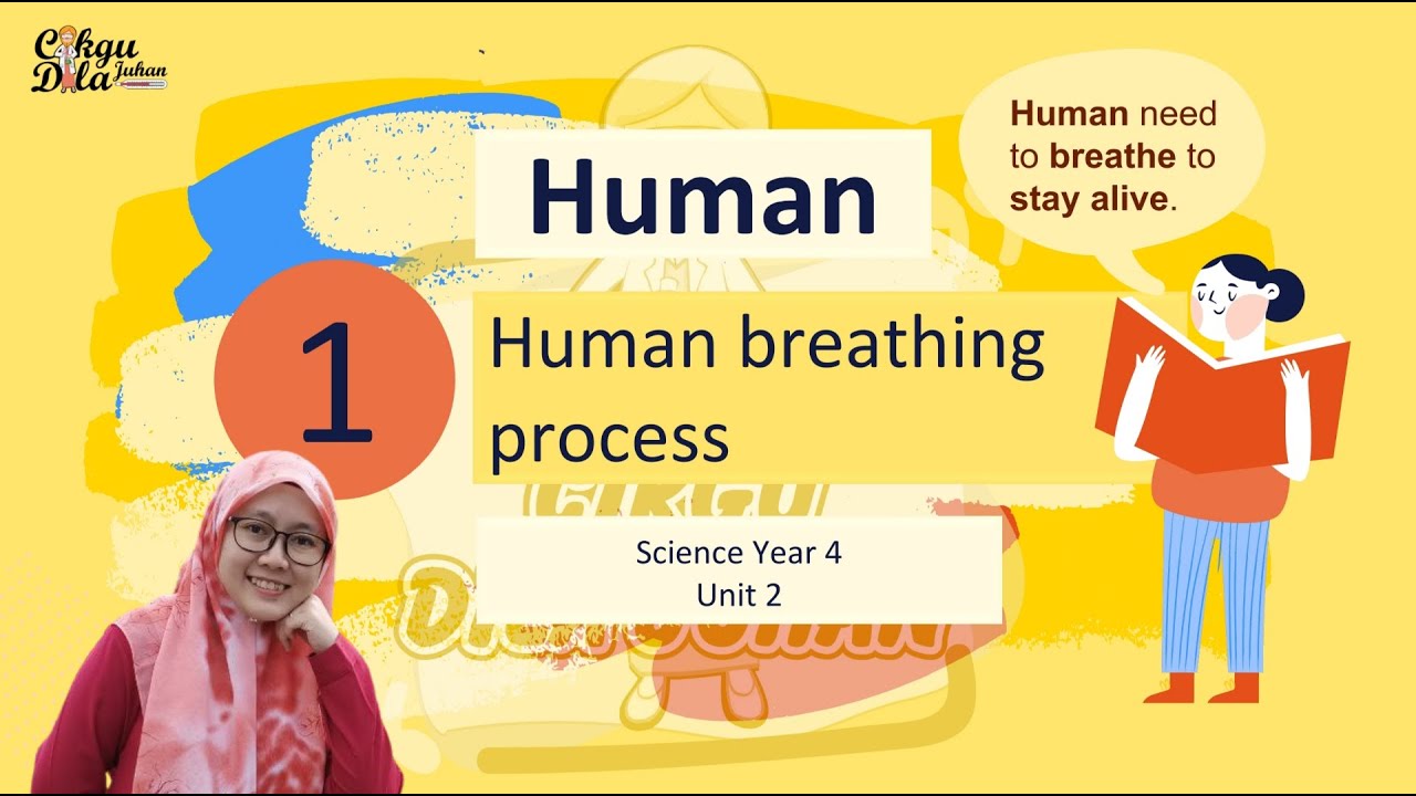 Science Year 4 | Human Breathing Process |
