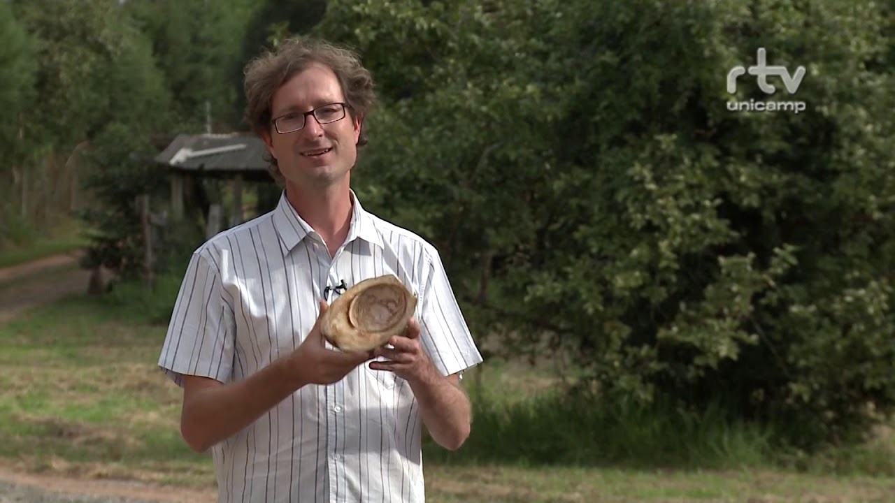 Tratamento Alternativo de Esgoto e Produção de Água de Reúso