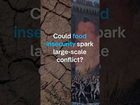 Could food insecurity spark 'large-scale conflict'? | DW News