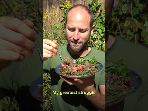 I Foraged 100% of My Food for a Month! (BuzzFeed Short Film)