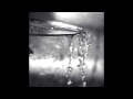 The Flashbulb- Sunset Dept.