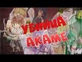 [Убийца Акаме] -AMV- 