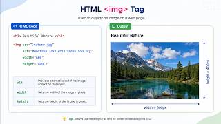 Display Images in an HTML Web Page | HTML img Tag Demonstration
