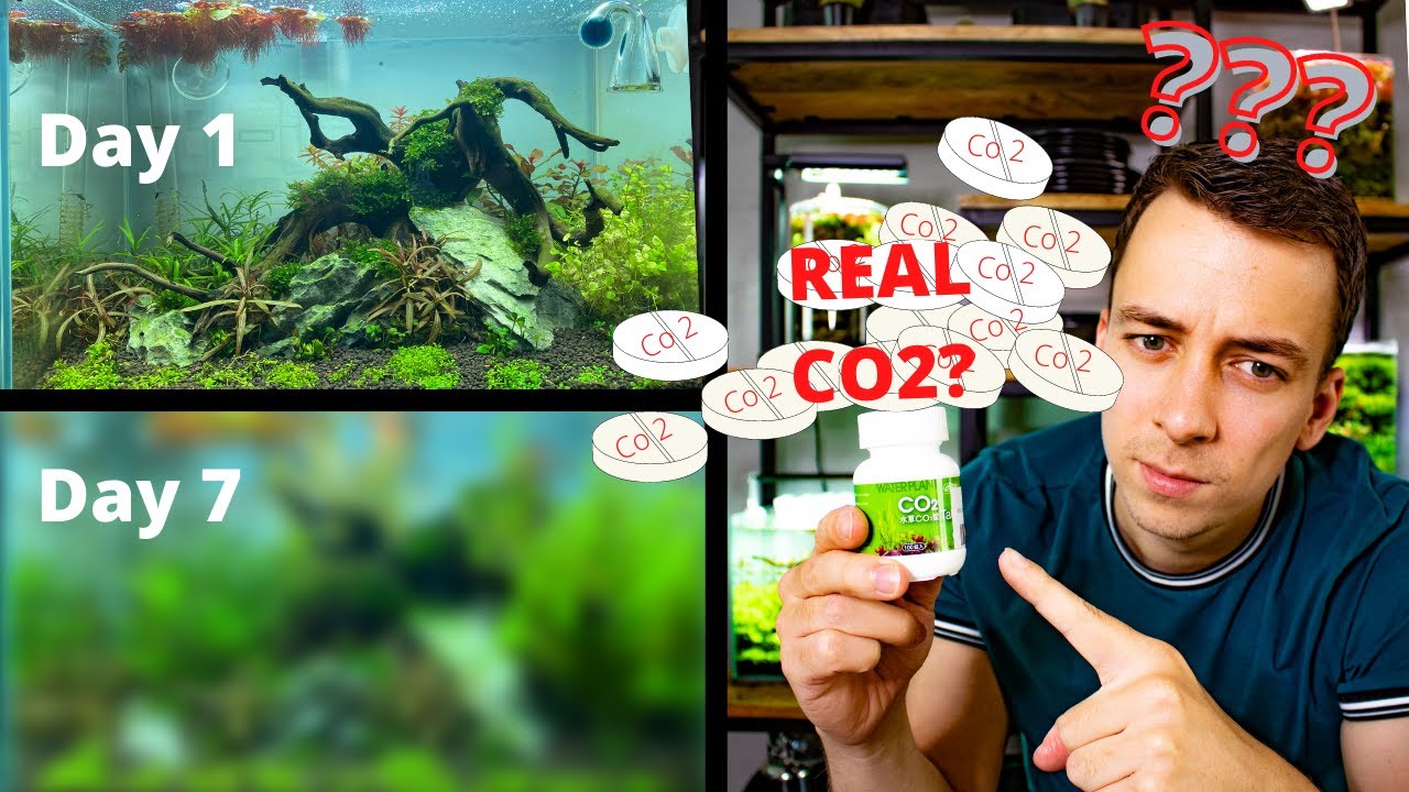 I TRIED CO2 TABLETS FOR 7 DAYS AND THIS IS WHAT HAPPENED...