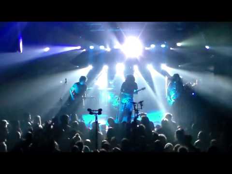 Pigeons Playing Ping Pong At Rex Theatre- Set 1