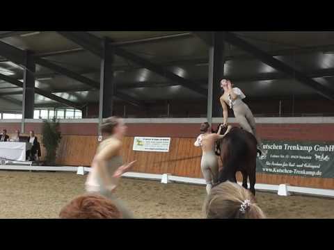 M**-Team Lohne - Landesmeisterschaften Weser-Ems 2016