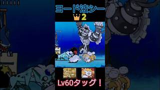 Lv60タッグ「ヨード液シー👑２」【にゃんこ大戦争】