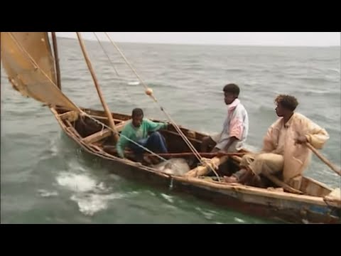 , title : 'Fishing Adventures in Kenya Documentary'