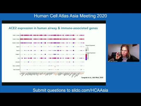 HCA Meeting Asia 2020: Keynote - 3 - Cell Atlas-ing Healthy & Covid19 Disease Samples
