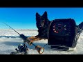 Video Thumbnail for Ice Fishing Cheap / Don't Waste Money! Slapping Walleye's