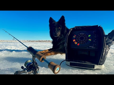 Ice Fishing Cheap / Don't Waste Money! Slapping Walleye's