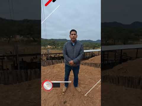 Charla técnica Cuevo Más eficiencia reproductiva