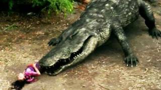 Mega Python vs. Gatoroid (2011) Video