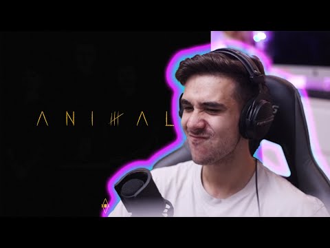 CU SIGURANTA TOP 5! HVNDS - Animal (Album) / Pufulete reacționează
