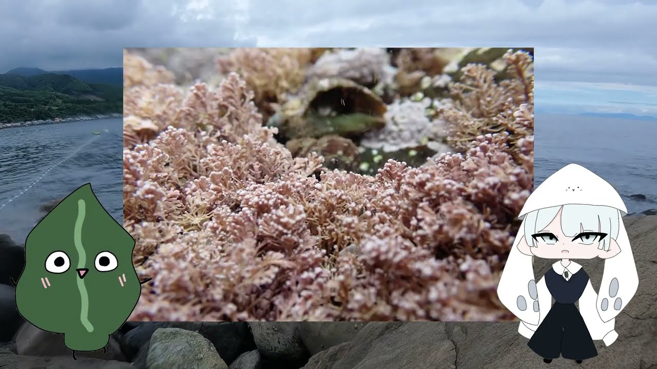 竜宮城に行ってみた！