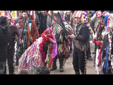 Capra de la Satu Nou la Primaria Lipova 2019