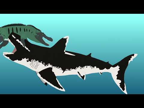 megalodon vs purrusaurus