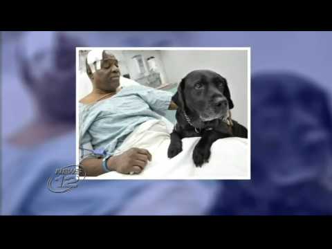 Guiding Eyes celebrates the miracle of Cecil and Orlando