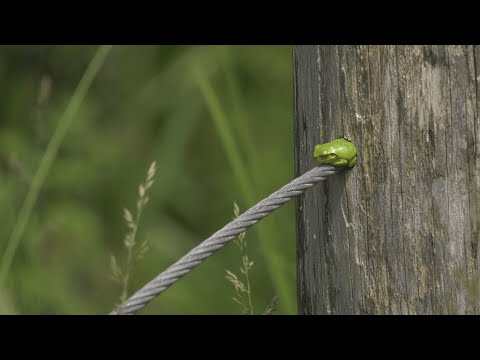 【佐賀県唐津市の風景：4K映像】樫原湿原【七山池原】(令和5年9月11日撮影）