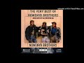 Ngwenya Brothers The Very Best Of Ngwenya Brothers Mixtape Official By Dj Proper Sa 27603088718