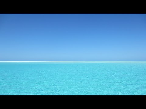 Rising Above the Waves: Kenya's Coastal Resilience Against Climate Change