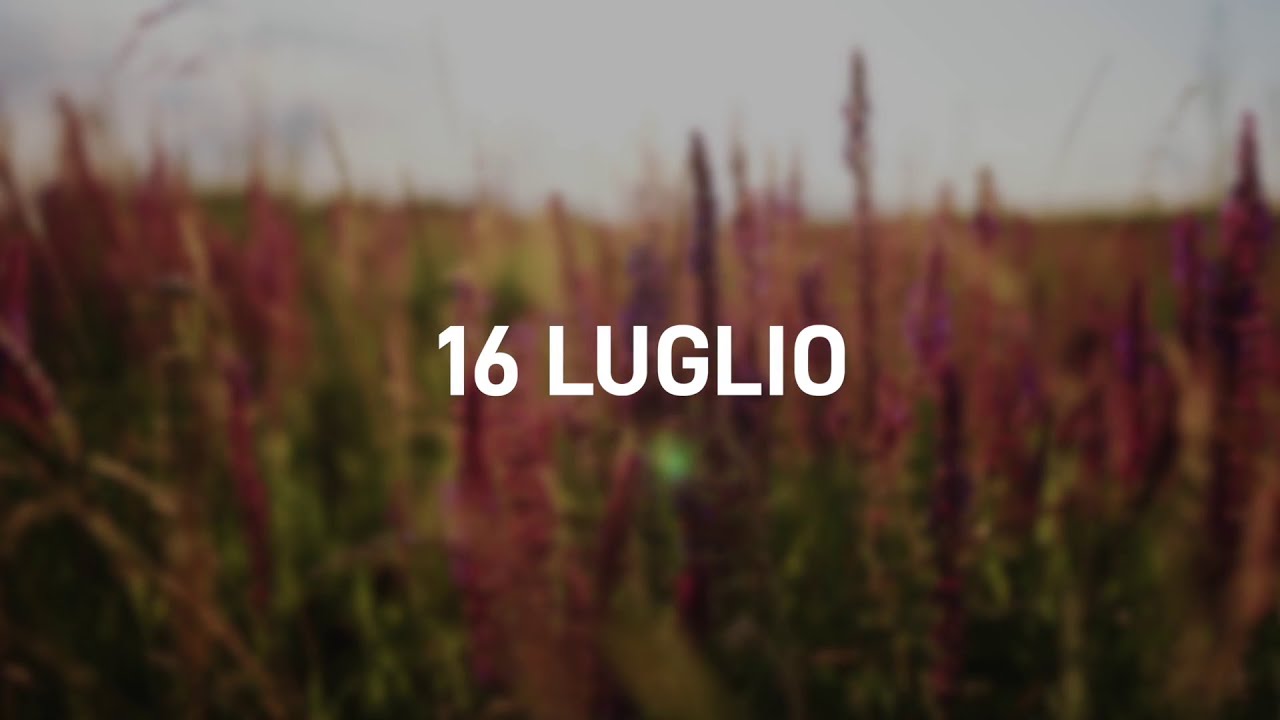 16 Luglio 2025 | Meditazione Parole di Vita